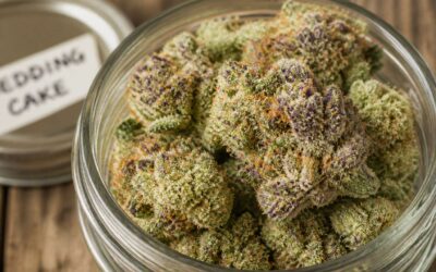 Why is wedding cake strain so popular for its calming and sweet profile?